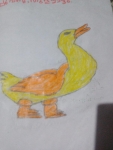 Gouri-Nanda-Anil-Artwork-7-Duck