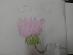 R-Jashwanth-Art-Work-21-lotus