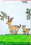 56-SK-Srinithi-Artwork-25-Deer