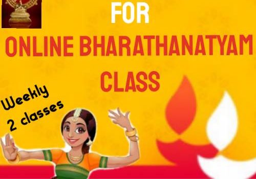 Shree Abinaya Natya Palli Online Bharathanatyam Classes