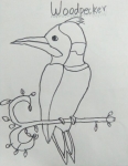 A-Rusaanth-Artwork-4-Woodpecker-Drawing