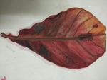 Deepika-Artwork-3-Leaf-Painting