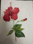 Deepika-Artwork-8-Hibiscus-Flower-Painting