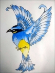 Himanshu-Sethia-Artwork-9-Kingfisher