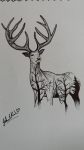 Ishrah-khan-art-work-5