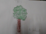 R-Jashwanth-Art-Work-19-tree