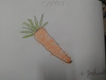 R-Jashwanth-Art-Work-20-carrot