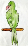 Shlok-Sethia-Artwork-6-Parrot