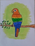 Shrika-Sriram-Artwork-5-macaw