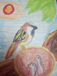 v-monika-art-work-1-bird-and-babies-drawing