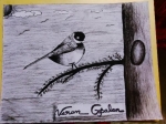 Varun-Gopalan-Artwork-1-Bird-Drawing