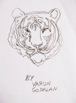 Varun-Gopalan-Artwork-7-Tiger-Drawing