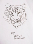 Varun-Gopalan-Artwork-7-Tiger-Drawing